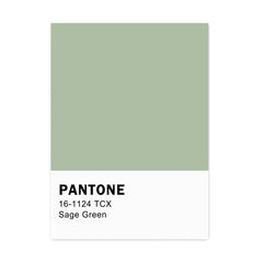 Sage Green & Pink Canvas Posters