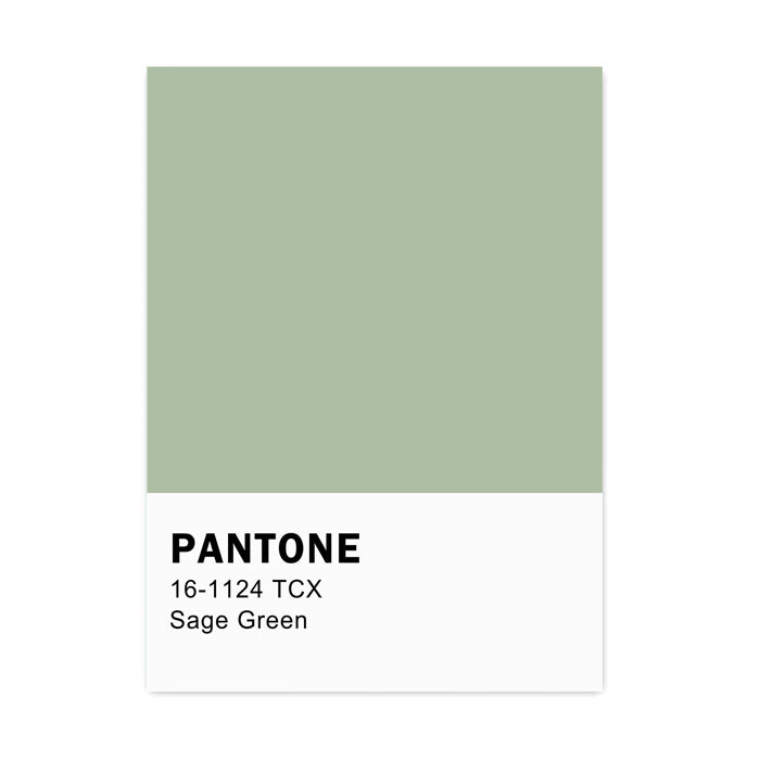 Sage Green & Pink Canvas Posters